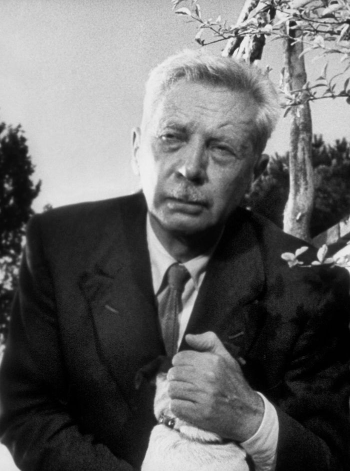 Umberto D.