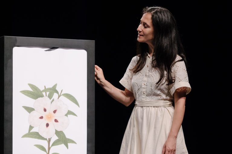 What about the flowers?