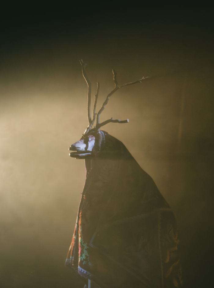 CAPRA – or how to say hello to fear – Roxana Ionesco